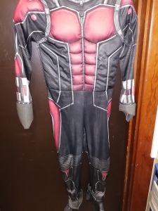 Kids Costumes to Hire - Antman - CHILD